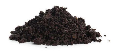 Loam soil