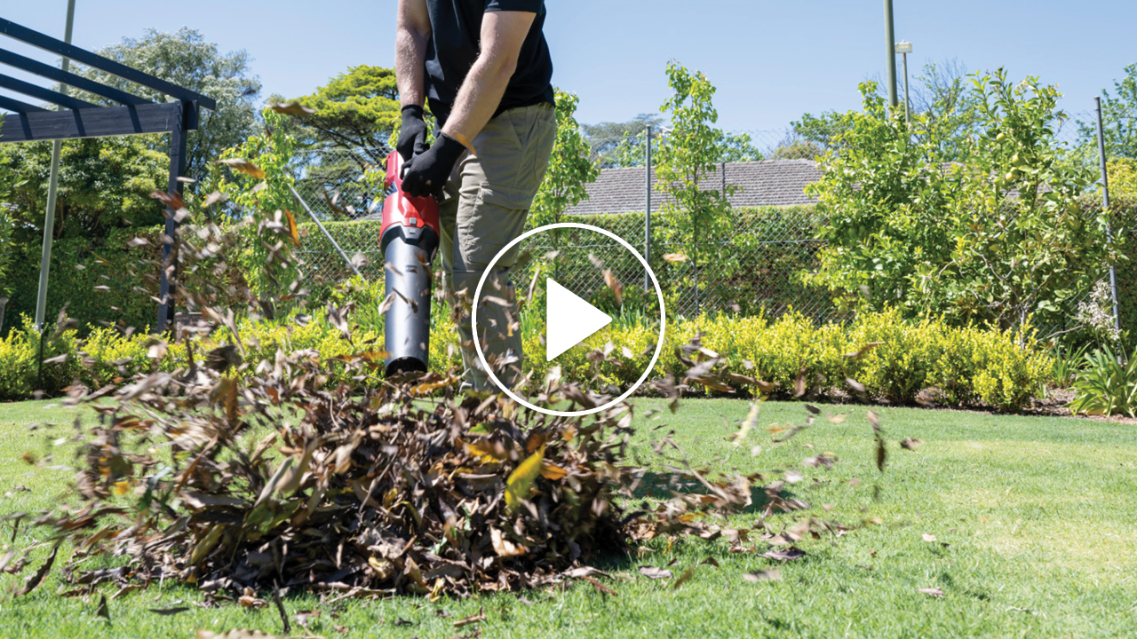 See the powerful 60V Leaf Blower in action! 